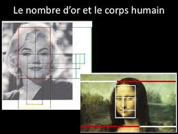 Résultat de recherche d'images pour "nombre d'or corps humain"