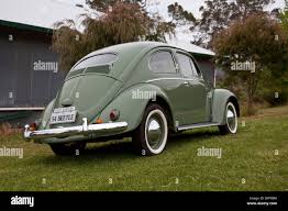 Image result for Pastel Green 1951 Beetle