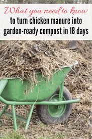 Buy the selected items together. Chicken Manure Compost In Just 18 Days Salt In My Coffee