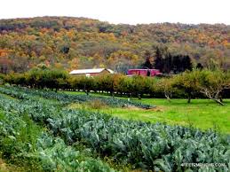 Falling For Fall In The Hudson Valley By Carmen Fishkill Farms Fishkill Fishkill New York
