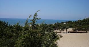 34 просмотра 1 год назад. Nationalpark Circeo In Italien Sygic Travel