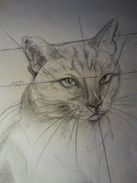 Hoe Teken Je Een Kat Dieren Tekenen 2 Dieren Tekenen Illustratie Kat Kattenkunst