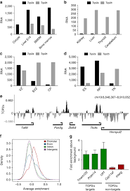 Free tts provides free and awesome services to convert written text into natural sounding voice. Gene Regulation And Priming By Topoisomerase Iia In Embryonic Stem Cells Nature Communications
