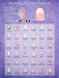 Ayurvedic Fingernail Analysis Poster