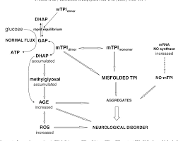 Figure 2 From Triosephosphate Isomerase Deficiency New Insights Into An Enigmatic Disease Semantic Scholar