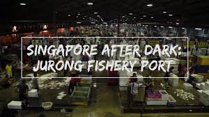 The nearest towns are wadebridge and camelford, each ten miles away. Singapore After Dark Jurong Fishery Port Youtube