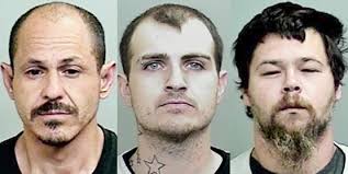 Mendocino County Today: Friday 5/31/24