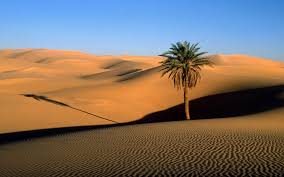 Check spelling or type a new query. Where Is The Hottest Desert In The World Sahara Desert