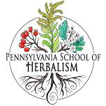 Foundations of Holistic Herbalism — Rhoneymeade