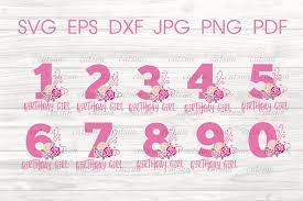 Download Birthday Girl Svg Bundle Floral Numbers Svg Bundle 409624 Cut Files Design Bundles