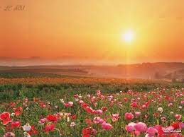 nature picturesque 2017 the most beautiful wallpapers for صور الطبيعة الخلابة 2017 أجمل صور خلفيا beautiful nature beautiful nature wallpaper flower field