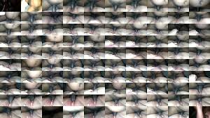 Mama bear wit BBC - XNXX.COM