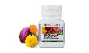 While living in either malaysia or indonesia for an extended period of time will help you pick up the language in the other country pretty well, there are some notable. Milk Thistle And Dandelion Plus Nutrilite Amway Malaysia
