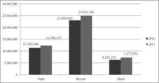 Https Www Karacadag Gov Tr Dokuman Dosya Www Karacadag Org Tr 262 St3z79dm Buyukbas Hayvan Besiciligi Yatirim Fizibilitesi Pdf