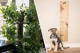 Shop and help an animal in need today! 28 Pieces Of Decor Every Pet Lover Needs In Their House