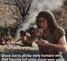 We Salute You Legends Early Humans Ancient Humans Oldest Human