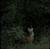 Un tânăr din l.a., renegat de familia sa bogată vreme de mulți ani, află că tatăl său grav bolnav a decis să întrerupă aparatele care îl țin în viață în următoarele 48 de ore. 67th International Short Film Festival Oberhausen Inter Film Org