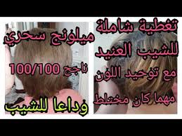 ديريه على ضمانتي ياختي ناجح 100 100 هذا الميلونج كنز في عالم الحلاقة تغطية شامله للشيب العنيد youtube abs beef
