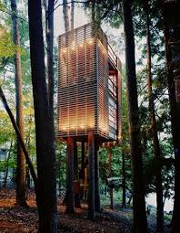 Une Maison Dans Les Arbres Blogue De Chantal Lapointe Casa In 2020 Tree House Designs Tree House Modern House Design