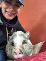 20 Things Equestrians Can Do When They Are Stuck at Home