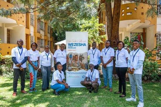 Wezesha Vijana Program