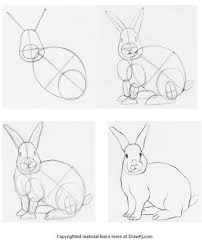 How To Draw A Rabbit Using Construction Drawing Step By Step Fullerlipstick Animal Drawings Sketches Animal Drawings Animal Sketches