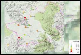 Image result for Trachyphrynium braunianum