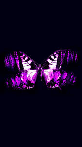 Butterfly clip art butterfly images butterfly wallpaper chalk drawings fused glass stained glass beautiful butterflies clipart. Pin Purple Rose Clipart Real Butterfly Iphone Wallpaper Purple Butterfly 2048556 Hd Wallpaper Backgrounds Download