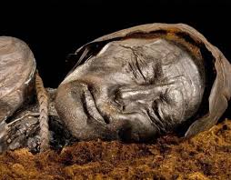 Bodies in the Bog: The Lindow Mysteries | Science History Institute