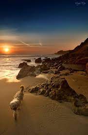 My Favorite Time Of The Day Www Paintingyouwithwords Com Large Picture Beautiful Sunset Beach Scenery