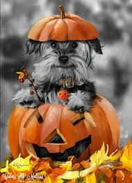 Color By Melissa Dog Halloween Halloween Animals Cute Animals