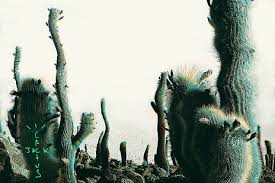 Wallpapers in ultra hd 4k 3840x2160, 1920x1080 high definition resolutions. Hd Wallpaper Cactus Greenhouse Succulent Plant Thorn Growth No People Wallpaper Flare