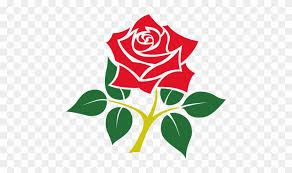 We did not find results for: Rose Emblem Of England Free Transparent Png Clipart Images Download