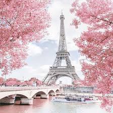 Ahhhh The Prettiest Tower In The World Claristhemouse Paris Wallpaper Eiffel Tower Photography Paris Pictures
