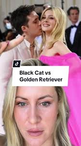 Black Cat vs Golden Retriever: Feminine Energy & Dating Tips