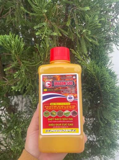 Mahal 3.6EC
