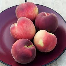 We did not find results for: 30 Peach Tree Varieties Types Of Peach Trees