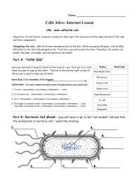 Cells Alive - The Biology Corner