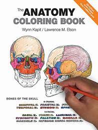 The Anatomy Coloring Book 4th Edition Read Download Online Libribook