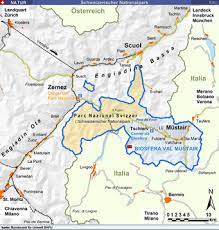 Aufgrund sehr vieler abgestorbener fichten besteht extreme baumsturzgefahr im nationalpark. Raonline Edu Erlebnis Natur Biologie Naturparks Schweizerischer Nationalpark Barenpfad Graubunden