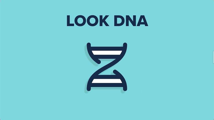 Qazi’s Toolkit – QT Look DNA v1.1