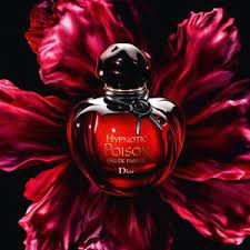 Hypnotic Poison Eau De Parfum Dior Perfume A Fragrancia Feminino 2014