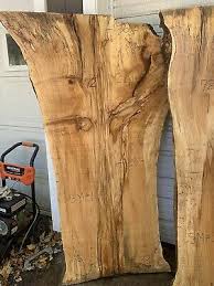 That is why these maple slabs will be great for your next live edge table. Ambrosia Spalted Maple Live Edge Slab Bar Top Table Top Sm 1 Ebay