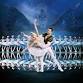 Swan Lake by International Ballet Stars event in Albuquerque, NM