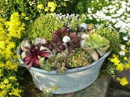 Idee Zinkwanne Garten Bepflanzung Zinkwanne Bepflanzen