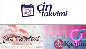 Cin Takvimi Ile Tahmini Bebek Cinsiyeti Hesaplama Kacgun Com