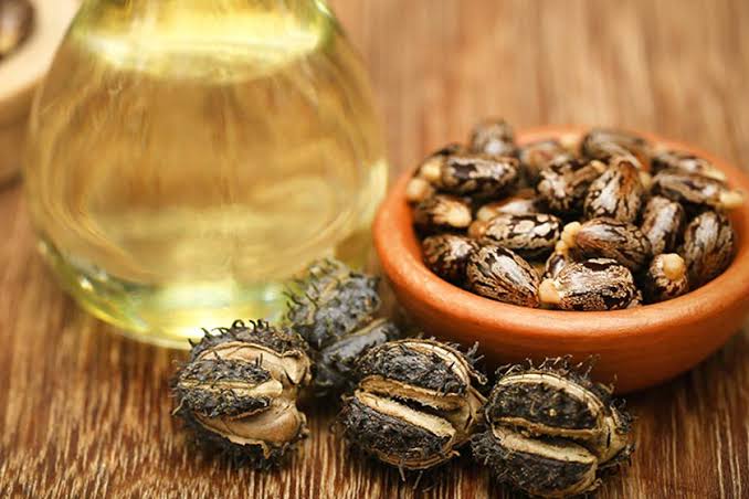Castor Oil Benefits for Lash & Brow Hair Growth | Forest Essentials