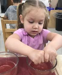 Fraser Woods Montessori School