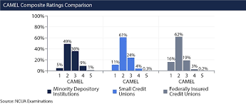 It is an important indicator of the financial stability the camel rating system is no doubt an essential tool for the identification of the financial strengths and online accessed 14 december 2018. Hispanic And Multi Cultural Credit Unions Gain In Assets Members Other Mdis Continue To Face Challenges National Credit Union Administration