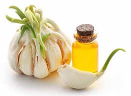 Hair Growth Garlic Oil: How to make ...
